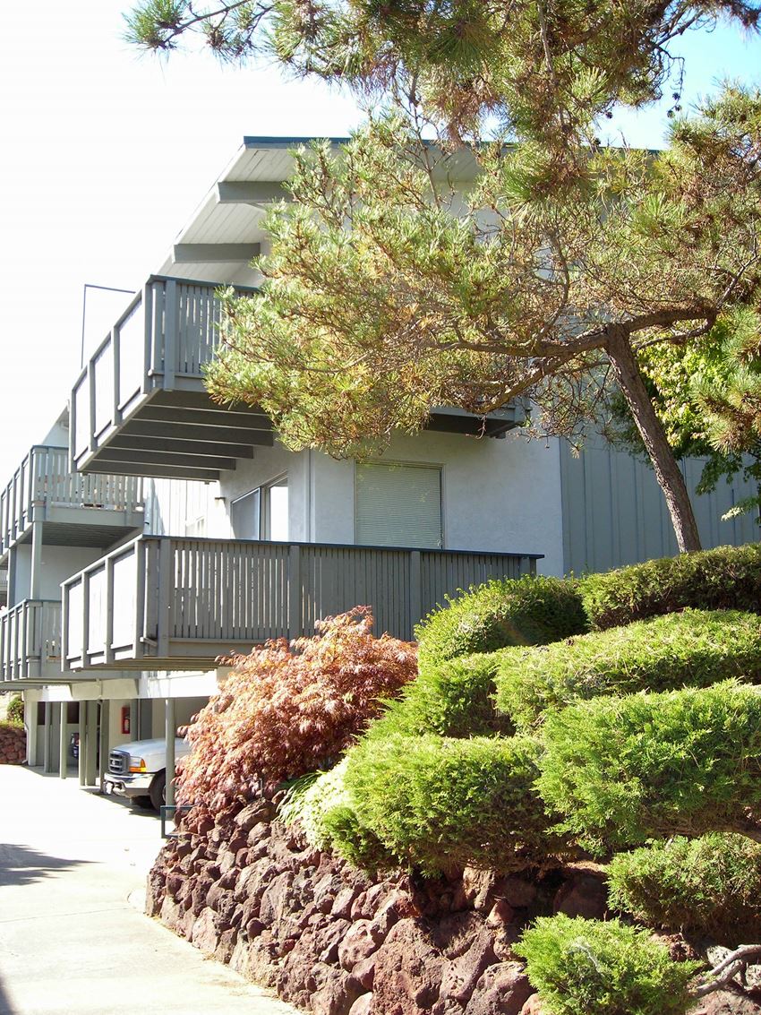 Walnut Hills Apartments, 1137 & 1175 Walpert Street, Hayward, CA RentCafe